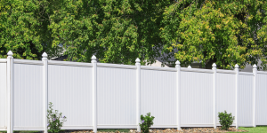 Fencing & Railing (5)